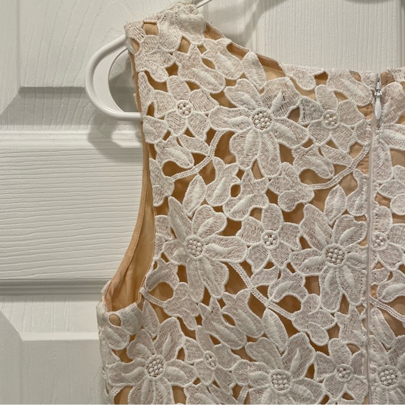 Ann Taylor LOFT Lace Dress - Picture 6 of 12